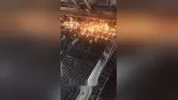 環境保護建物用 80kn/M 溶接ジオグリッド