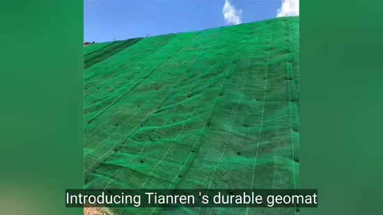3D Geomat Erosion Control Mat for Slop