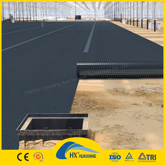 0.2 ミリメートル/0.5 ミリメートル/1.0 ミリメートル/2.0 ミリメートル黒プラスチックシートライナー CE/ASTM バイリング防水 HDPE ジオメンブレン農業/ダム/埋立地/湖/バイオガス/水産養殖プロジェクト用